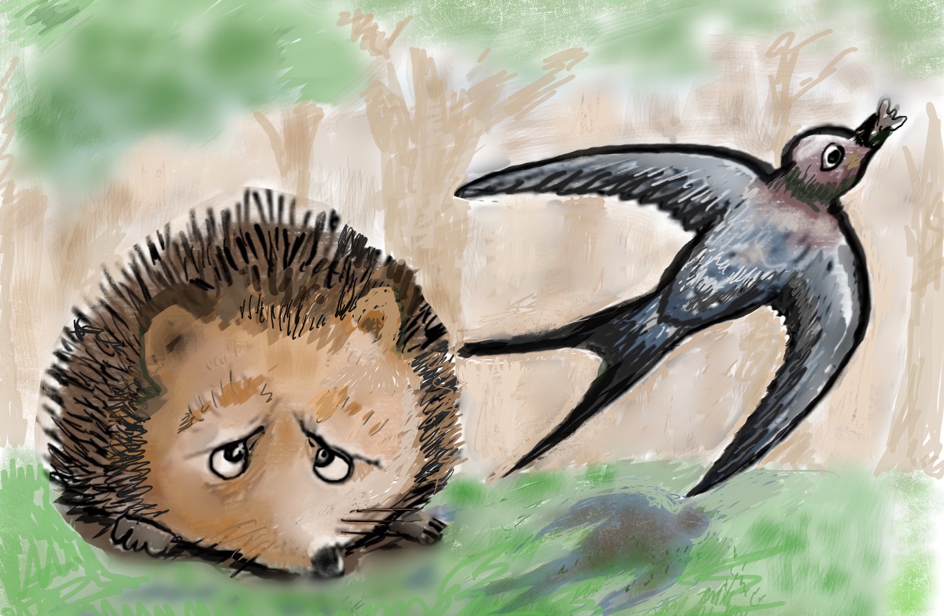 Thank you, dear swallow/Cath