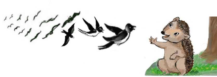 We are home again!/Susan