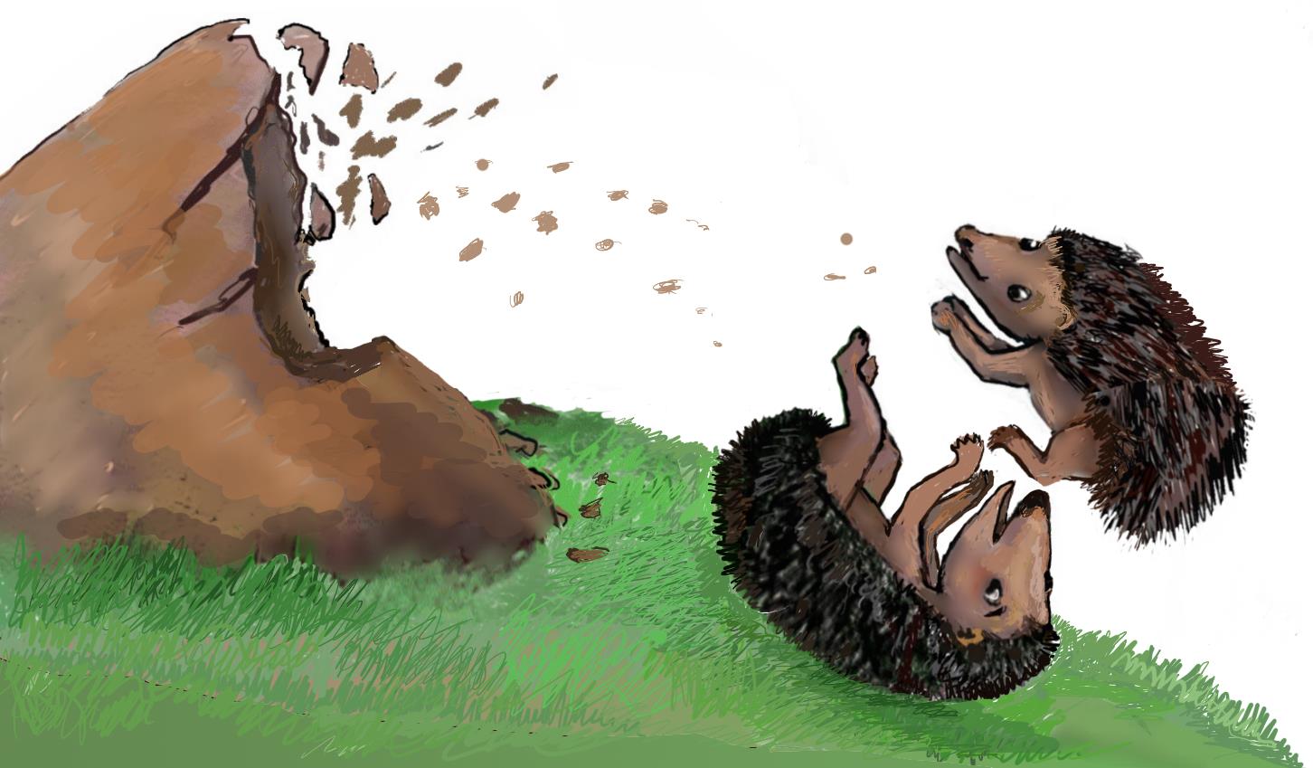 Hoo har har Hooted Mister Fazzi