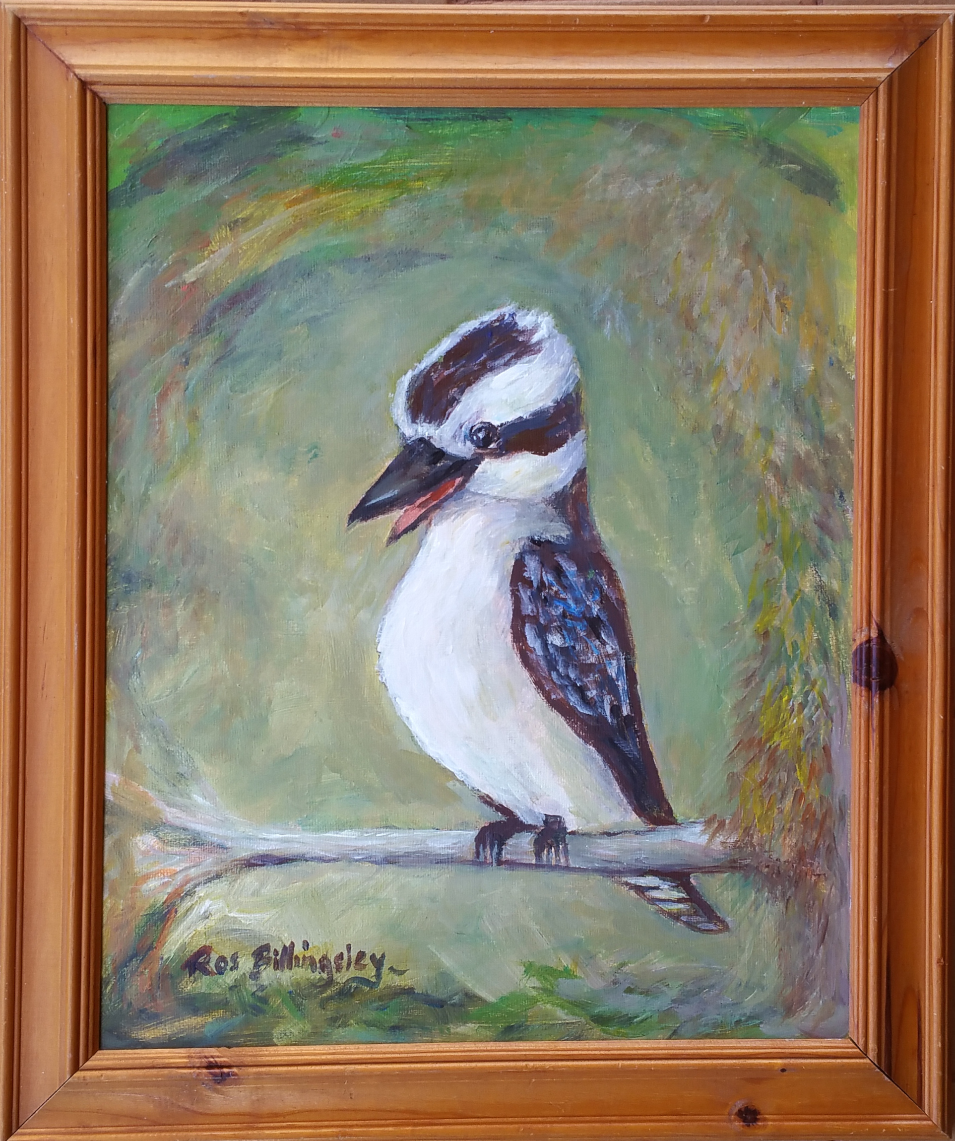 Kookaburra